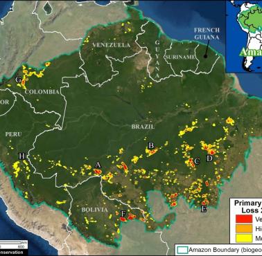 Zniszczenie lasów deszczowych w Amazonii, 2020