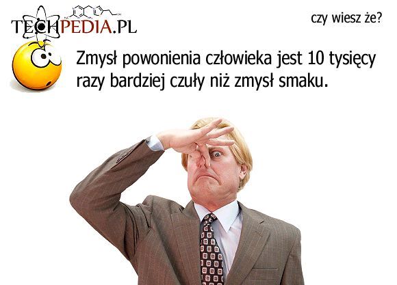 Zmysł powonienia