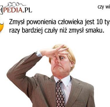 Zmysł powonienia