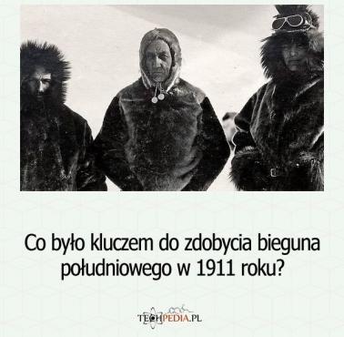 Co było kluczem do zdobycia bieguna południowego w 1911 roku?