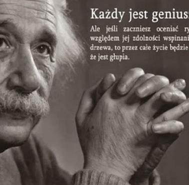 Każdy jest geniuszem