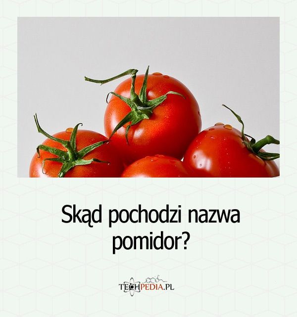 Skąd pochodzi nazwa pomidor?
