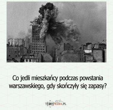 Co jedli mieszkańcy podczas powstania warszawskiego, gdy skończyły się zapasy?