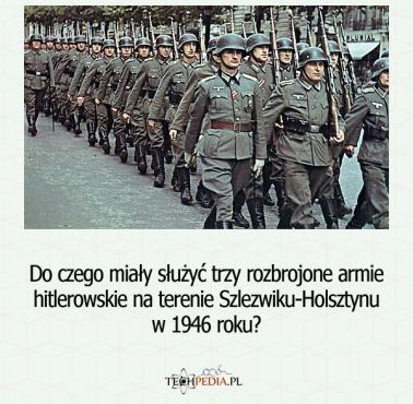 Do czego miały służyć trzy rozbrojone armie niemieckie na terenie Szlezwiku-Holsztynu w 1946 roku?