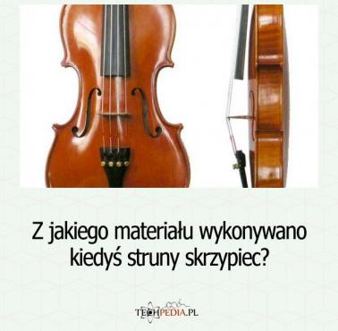 Z jakiego materiału wykonywano kiedyś struny skrzypiec?