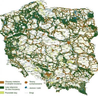 Korytarze ekologiczne w Polsce.