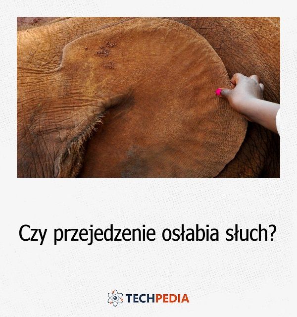 Czy przejedzenie osłabia słuch?