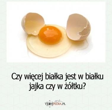 Więcej białka jest w białku jajka czy w żółtku?