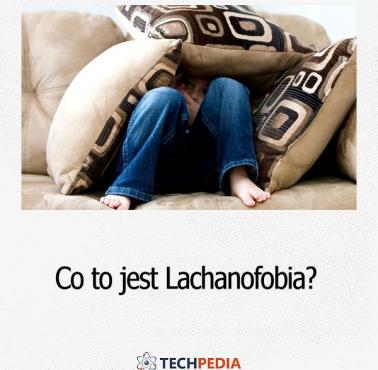 Co to jest "lachanofobia"?