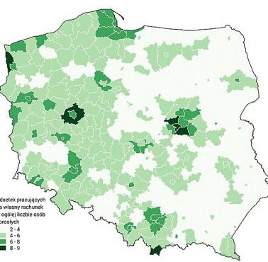 Osoby utrzymujące się z pracy na własny rachunek stanowią niecałe 4% zdolnej do pracy ludności Polski.