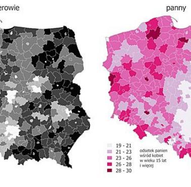 Odsetek kawalerów i panien w Polsce, dane z 2011 roku.