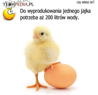 Tylko bez jaj ;)