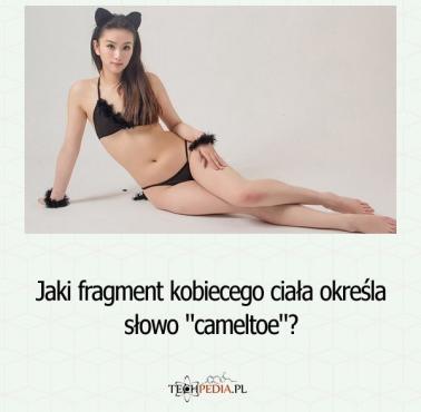 Jaki fragment kobiecego ciała określa słowo "cameltoe"?