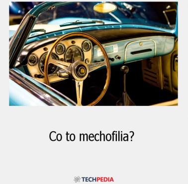 Co to mechofilia?
