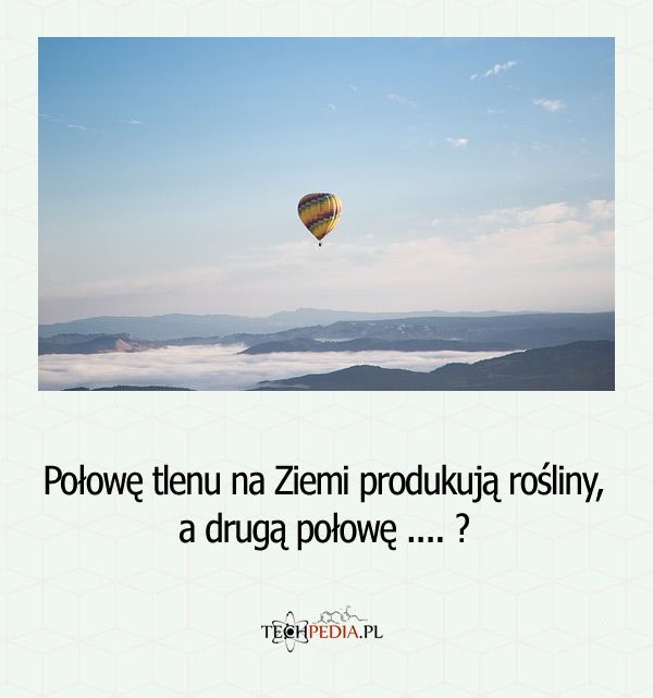 Połowę tlenu na Ziemi produkują rośliny, a drugą połowę .... ?