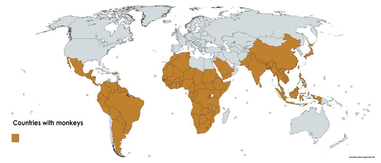 Obszary i państwa, gdzie występują małpy