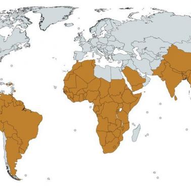 Obszary i państwa, gdzie występują małpy