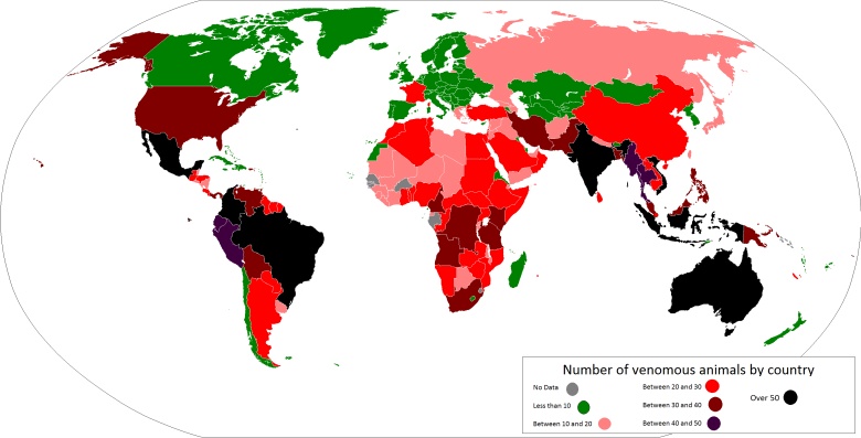 TOP3 krajów z najbardziej jadowitymi zwierzętami. Meksyk 80, Brazylia 79, Australia 66