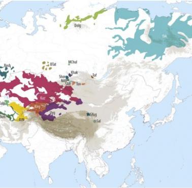 Języki tureckie na świecie