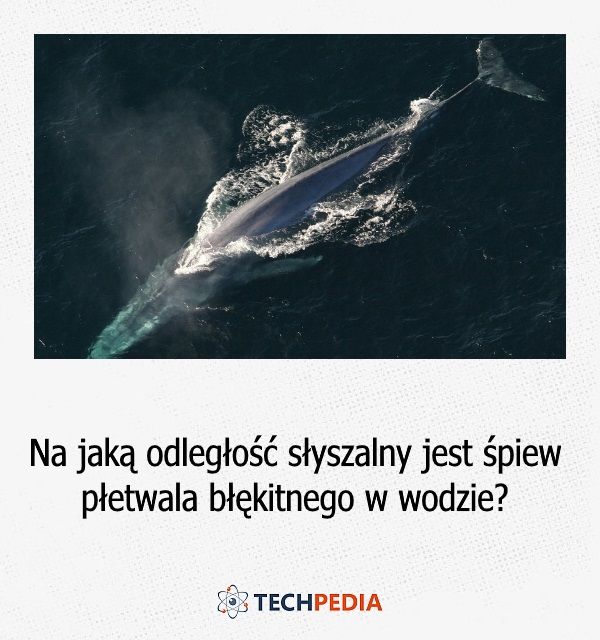 Na jaką odległość słyszalny jest śpiew płetwala błękitnego w wodzie?