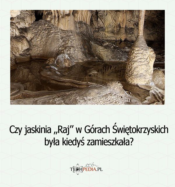 Czy jaskinia „Raj” w Górach Świętokrzyskich była kiedyś zamieszkała?