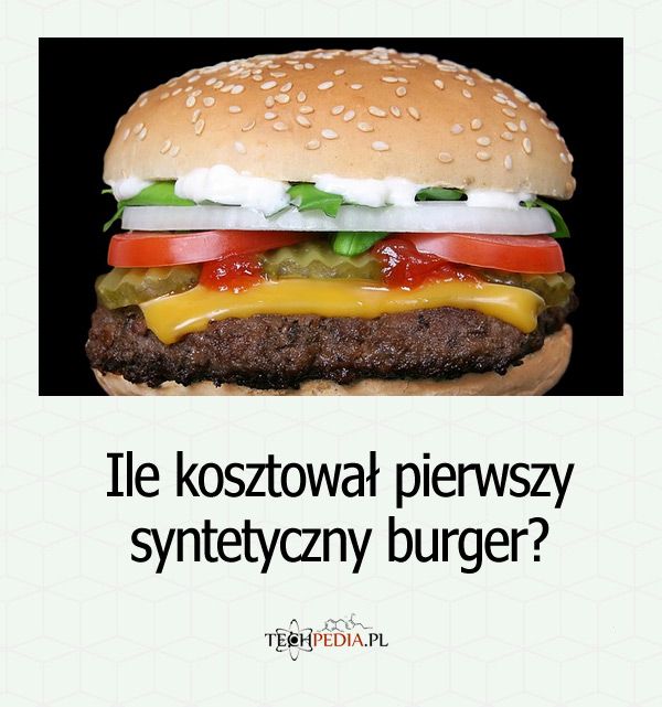 Ile kosztował pierwszy syntetyczny burger?