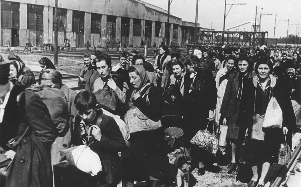 4 września 1944 do Auschwitz dotarł drugi transport Polaków deportowanych przez Niemców z powstańczej Warszawy