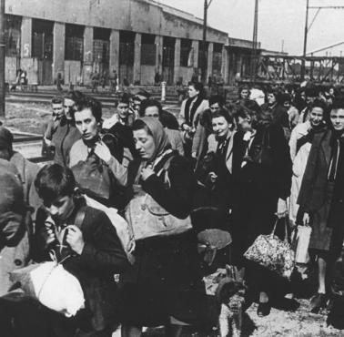 4 września 1944 do Auschwitz dotarł drugi transport Polaków deportowanych przez Niemców z powstańczej Warszawy