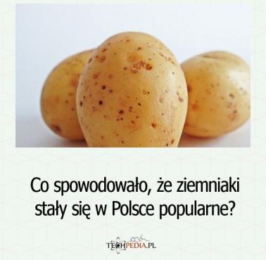 Co spowodowało, że ziemniaki stały się w Polsce popularne?