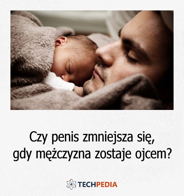 Czy penis zmniejsza się, gdy mężczyzna zostaje ojcem?