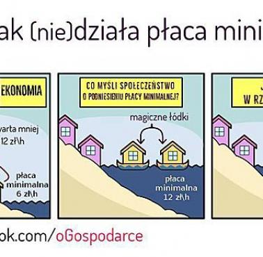 Bardzo proste wytłumaczenie, jak (nie) działa na gospodarkę coś takiego jak płaca minimalna.