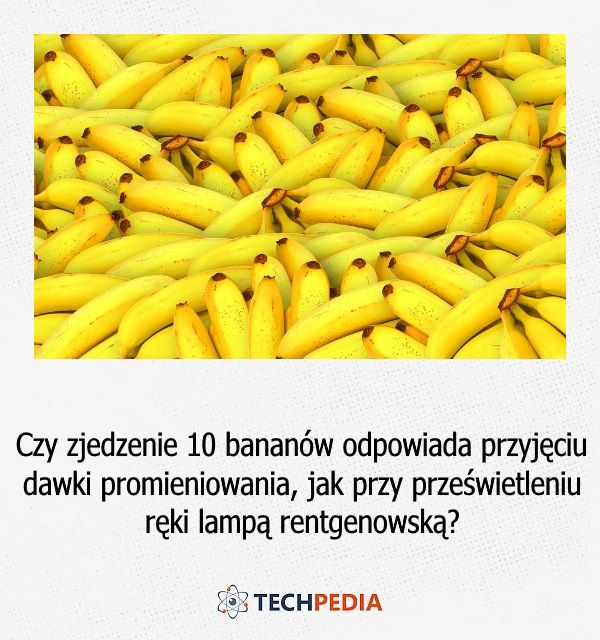 Czy zjedzenie 10 bananów odpowiada przyjęciu dawki promieniowania, jak przy prześwietleniu ręki ....