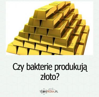 Czy bakterie produkują złoto?