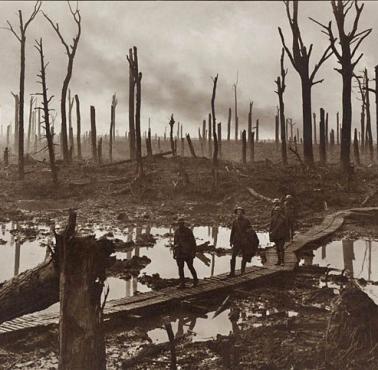 Australijscy żołnierze w lesie Chateau niedaleko Ypres (Francja).