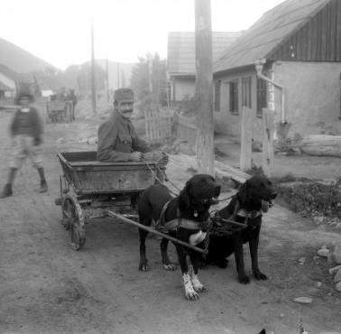 Austro-Węgierski żołnierz we wsi Bukowina nieopodal granicy z Rumunią, 1917