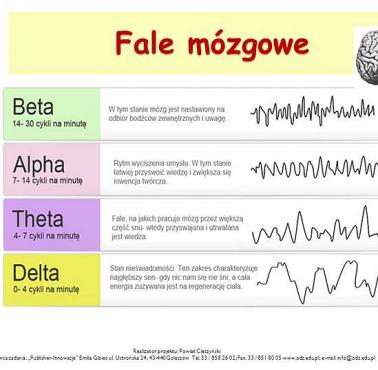 Fale mózgowe i ich funkcje