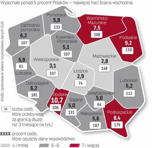 Ile procentowo osób wyjechało z Polski (dane 2013 rok).