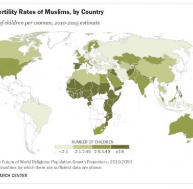 Ilość dzieci na muzułmankę w poszczególnych krajach.