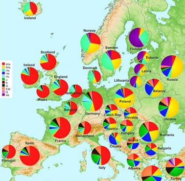 Genotyp poszczególnych europejskich nacji.