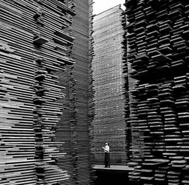 Skład drewna Seattle Cedar Lumber Manufacturing