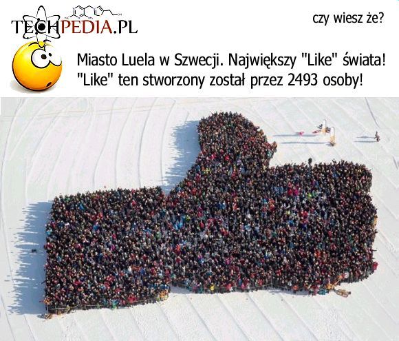 Największy Like świata