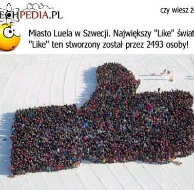 Największy Like świata