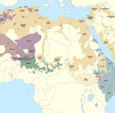 Rozkład języków afroazjatyckich w Afryce i na Bliskim Wschodzie, 2020