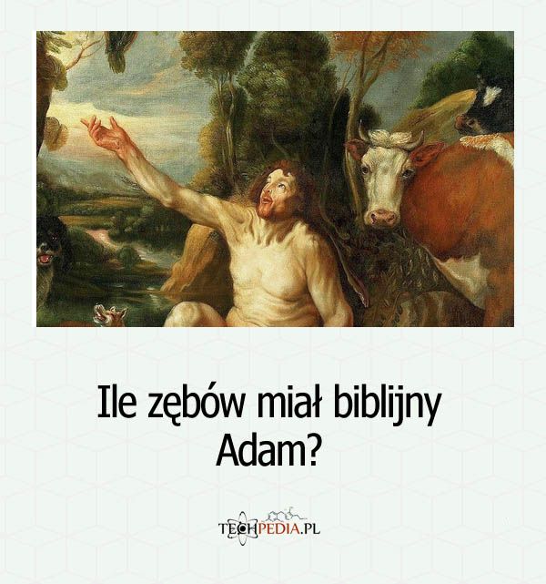 Ile zębów miał biblijny Adam?