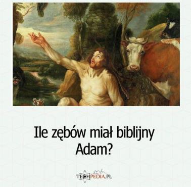 Ile zębów miał biblijny Adam?