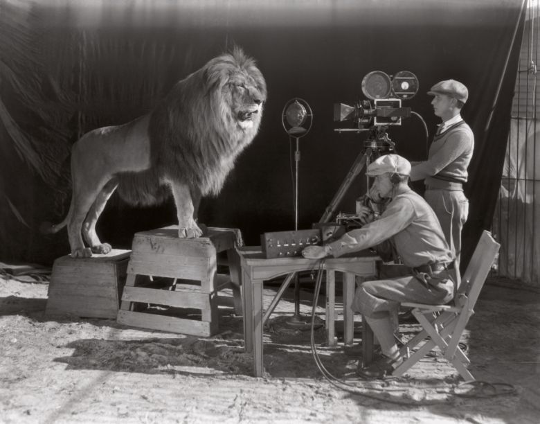 Lew Leo - maskotka i symbol hollywoodzkiej wytwórni filmowej Metro-Goldwyn-Mayer (MGM).