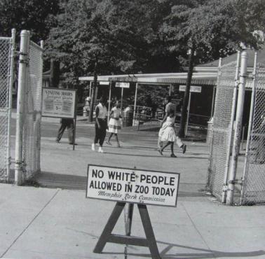 Zakaz wstępu dla "białych" w Zoo w Memphis (USA).