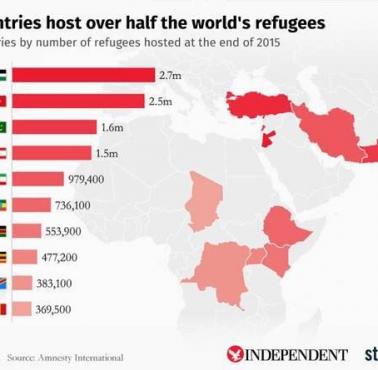 Kraje, które w sumie przyjęły ponad 50 proc. światowych uchodźców.