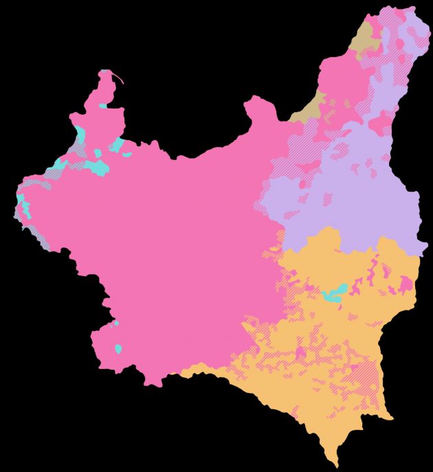 Struktura demograficzna II RP: różowy Polacy, pomarańczowy Ukraińcy, fiolet Białorusini, turkus Niemcy, brąz Litwini.