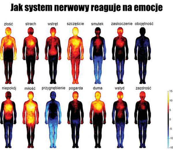 Jak system nerwowy reaguje na emocje